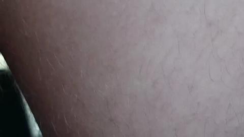 40442