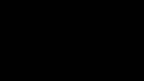 20810